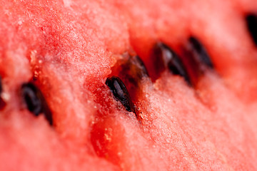 Image showing Watermelon Background