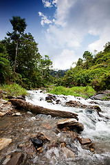 Image showing Mountain Stream