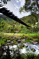 Image showing Hanging Bridge