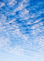 Image showing Cloud Background
