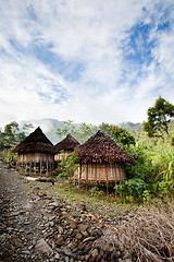 Image showing Traditional Village