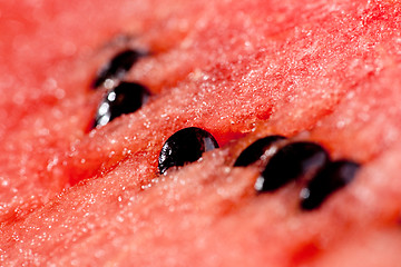 Image showing Watermelon Background