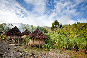 Image showing Traditional Hut