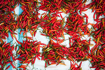 Image showing Peppers at Market