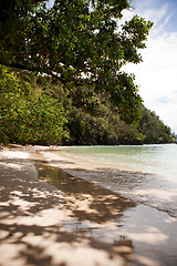 Image showing Tropical Beach