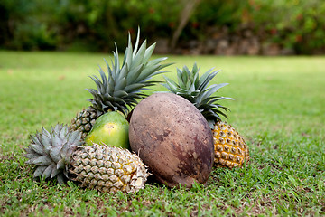 Image showing Tropical Fruit