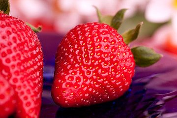 Image showing Strawberry Outdoor