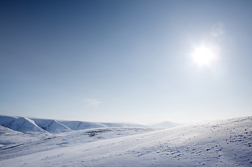 Image showing Winter Snow Wilderness