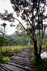 Image showing Hanging Bridge Suspension