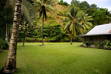 Image showing Tropical Back Yard