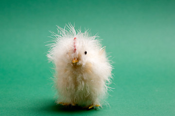 Image showing Baby Chicken