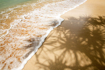 Image showing Palm Tree Shadow in Tropics