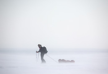 Image showing Arctic Expedition