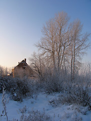 Image showing Rural Winter Scene