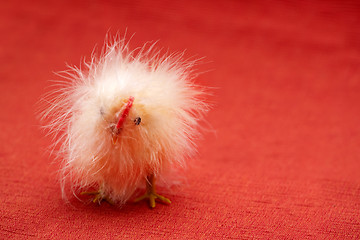 Image showing Funny Chicken