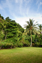 Image showing Tropical Back yard
