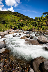 Image showing Fresh Mountain River