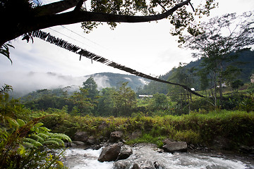 Image showing Hanging Bridge Suspension