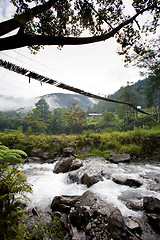 Image showing Hanging Bridge Suspension