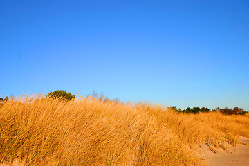 Image showing beach