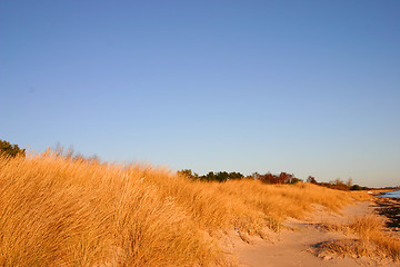 Image showing beach