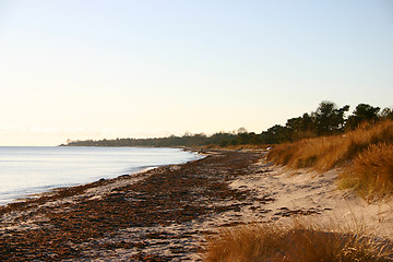 Image showing beach