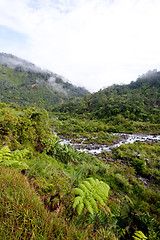Image showing Mountain Stream with Fog