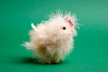 Image showing Baby Chicken