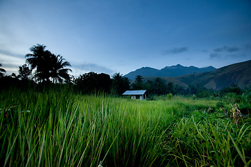 Image showing Tropical Mountain Hut