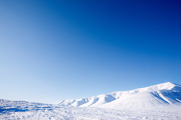 Image showing Winter Landscape