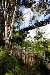 Image showing Mountain River with Hanging Bridge