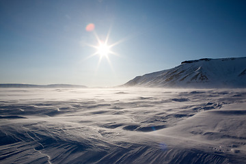 Image showing Frozen Arctic Landscape