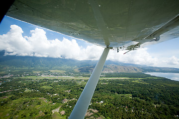 Image showing Tropical Flight
