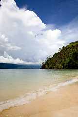 Image showing Tropical Beach