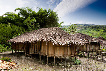 Image showing Village Hut