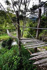 Image showing Hanging Bridge