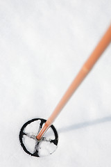 Image showing Ski Pole