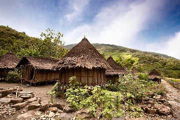 Image showing Traditional Village