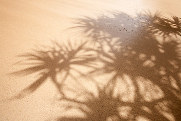 Image showing Wet Sand Background