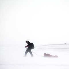 Image showing Winter Wilderness Adventure