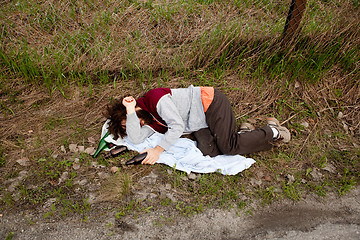 Image showing Drunk in the Ditch