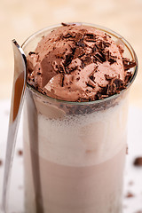 Image showing Chocolate Milk Float