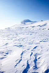 Image showing Frozen Sea