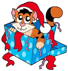 Image showing Cute Christmas cat
