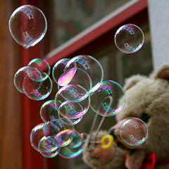 Image showing Bear blowing Soap Bubbles