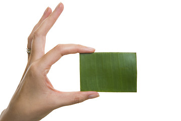 Image showing Green Business Card