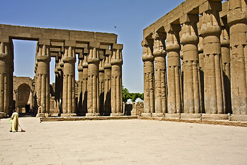 Image showing Luxor temple