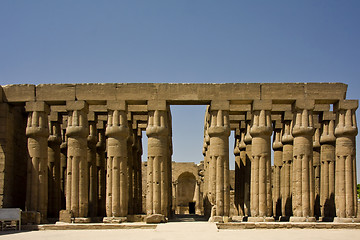 Image showing Luxor temple