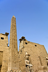 Image showing Luxor temple