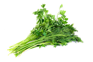 Image showing fresh herbs